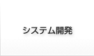 システム開発