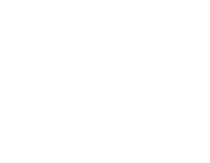 株式会社BPI